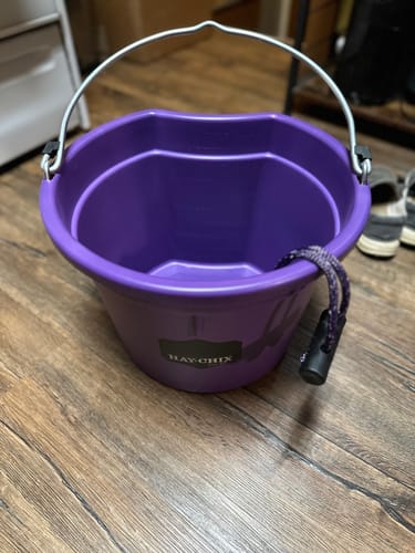 Customer photo review of The Hay Chix® Favorite Bucket