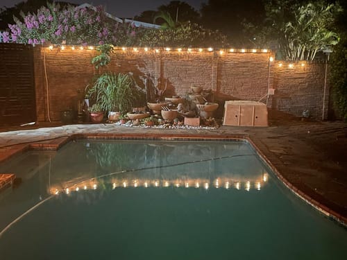 Customer photo review of Solar Mini Bulb String Lights - Black