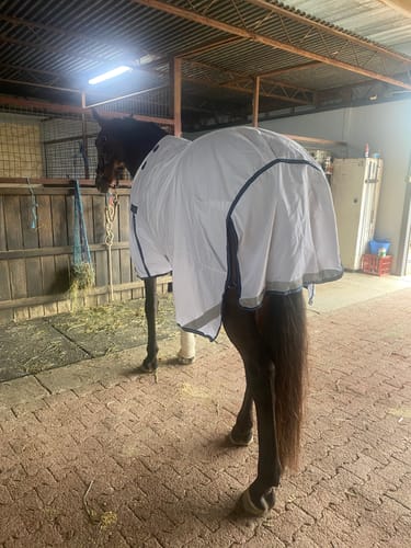 Customer photo review of LE Fieldsafe Summer Sheet