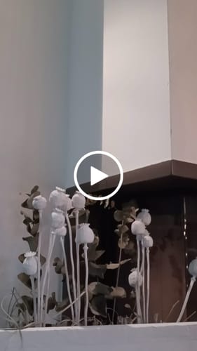 Customer video review of Kreidefarbe - Weiß