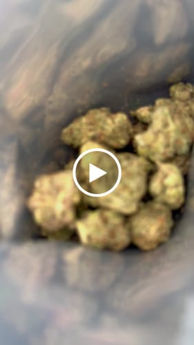 Customer video review of Pop Rocks - 14 Grams Littles - Indica