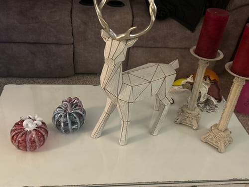 Customer photo review of Snow Frosted Cranberry Squat with a White Stem