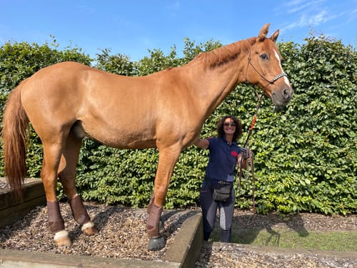 Customer photo review of Kristallkraft Move