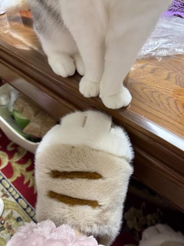 Customer photo review of Cat Paw Slippers