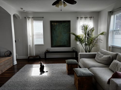 Customer photo review of Abstract Canvas Art #AB294