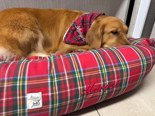 Customer photo review of Cover Scozzese rossa