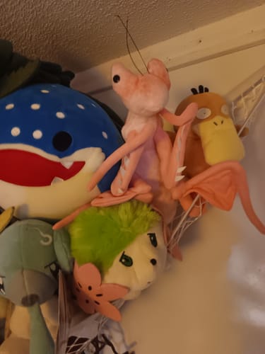 Customer photo review of Pink Orchid Mantis Soft Stuffed Plush Toy