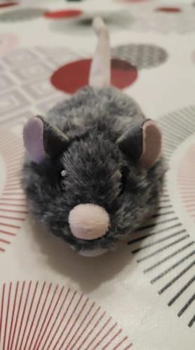 Customer photo review of Interactive Motion-Activated Mouse Cat Toy