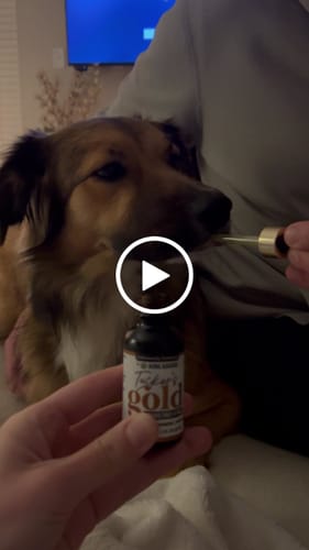 Customer video review of Tucker's Gold 1000MG CBD
