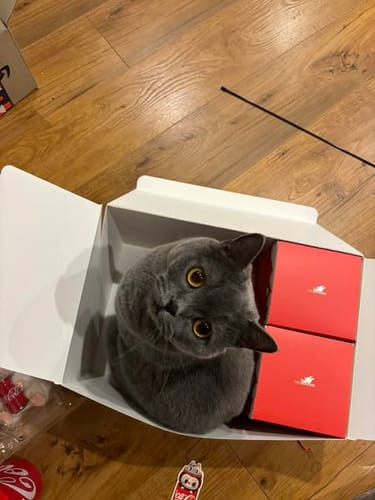 Customer photo review of THE MONSTERS COCA-COLA SERIES-Vinyl Face Blind Box