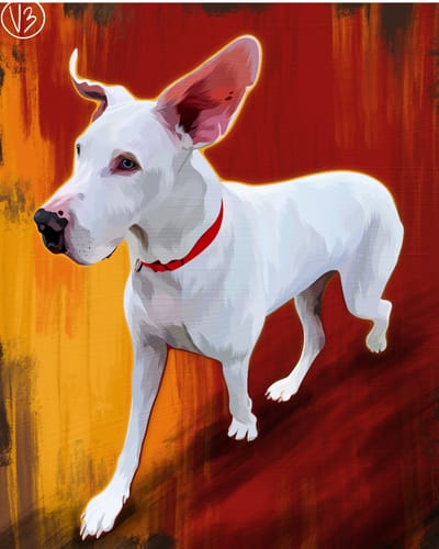 Customer photo review of Custom Pet Portrait - Pop-Art Style