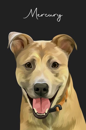 Customer photo review of Pet Art Canvas Wrap