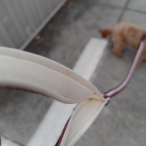 Customer photo review of Lead