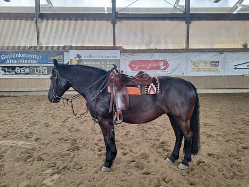 Customer photo review of Kristallkraft Move