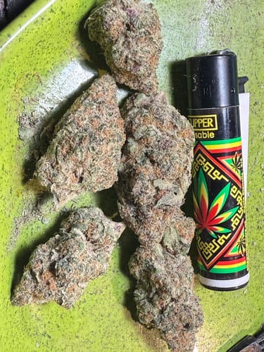 Customer photo review of Tropic Thunder