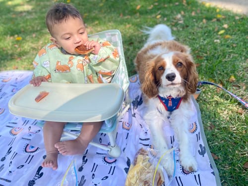 Customer photo review of Parker baby chair