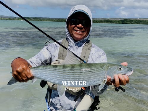 Customer photo review of ENERGY FORMULA