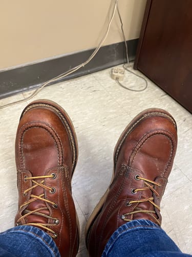 Customer photo review of Rutland Chestnut