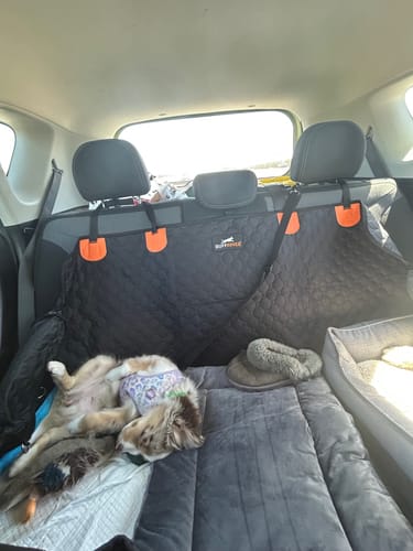 Customer photo review of RuffRover 2.0™ - Hard Bottom Dog Car Seat Protector