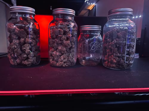 Customer photo review of Jet Fuel Gelato Greenhouse THCA