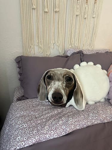 Customer photo review of Custom Shape Pillow