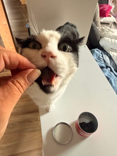 Customer photo review of Patsli Belly