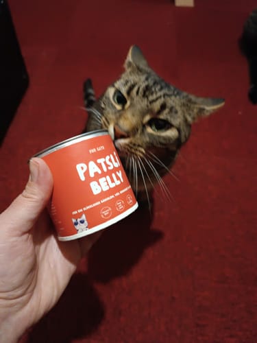 Customer photo review of Patsli Belly