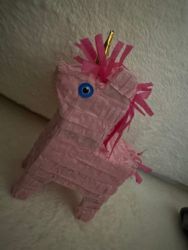 Customer photo review of Magical Birthday Piñatagram