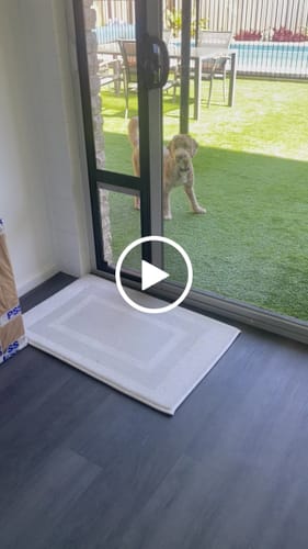 Customer video review of Pet Door Inserts