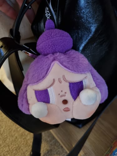 Customer photo review of POP MART CRYBABY Cheer Up, Baby! Series Plush Pendant Blind Box