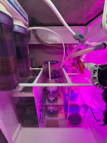 undefined review of Fiji Cube Fiji-20 Advanced Reef Sump 2nd Gen image 1 out of 1