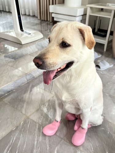 Pink review of WagWellies® by wagwear image 1 out of 1