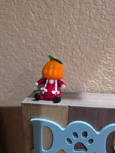 Customer photo review of Little Autumn Gnome, Mrs Squash