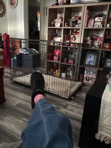 Customer photo review of Sorrel - Barefoot Shoes