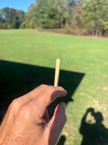 Customer photo review of Blueberry Pancakes Minis - Bulk Minis - Hybrid