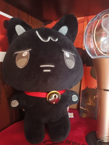 Customer photo review of KPOP Aniteez Doll