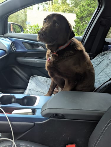 Customer photo review of Waterproof Single-Seat Cover