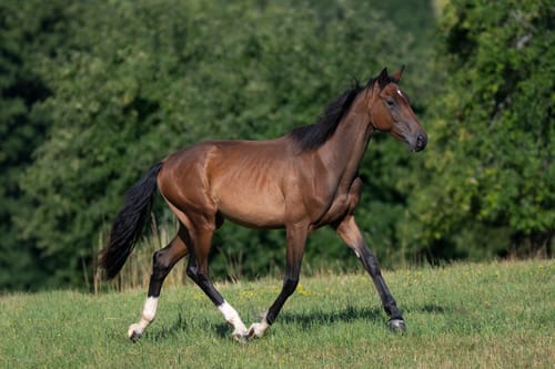 Customer photo review of Kristallkraft No1