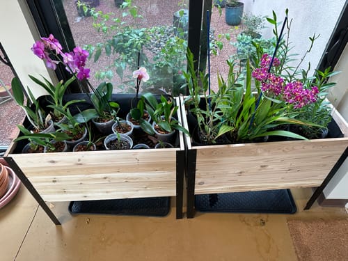 Customer photo review of 18" x 36" Raised Garden Bed - 30" TALL