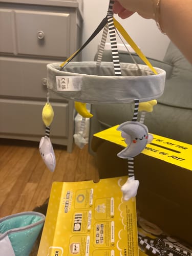 Customer photo review of Curated Monthly Baby Box