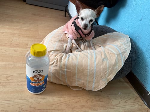 Customer photo review of Oh My Dog! 2Go (Membresía)