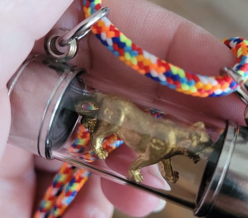 Customer photo review of Amulette tigre doré Seuar Mahahut – Wat Nong Nam Som (Ayutthaya, 2008)