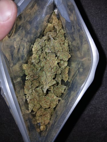 Customer photo review of Fresh Lows Lounge