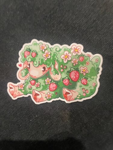 Customer photo review of Berry Sheep Stickers
