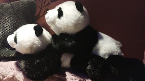 Customer photo review of Misie Obciążeniowe™