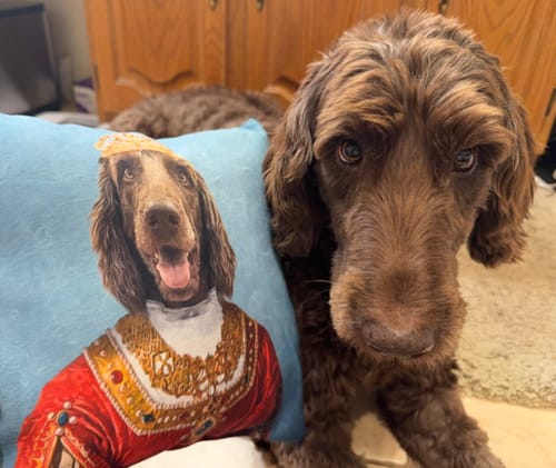 Customer photo review of 'The Queen' Personalized Pet Throw Pillow