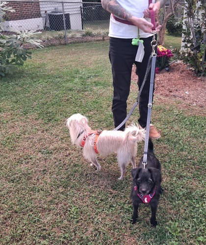 Customer photo review of Lead-All Lite