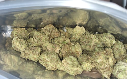 Customer photo review of Cheap THCA Flower Quarter Pound