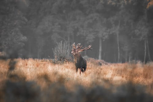 Customer photo review of Mega Bundle 2,024 Presets All-Access Toolbox