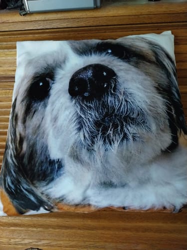 Customer photo review of Avec photo - Coussin personnalisé